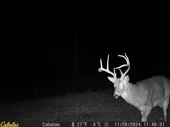 2nd image of Tbd Rochester Rd