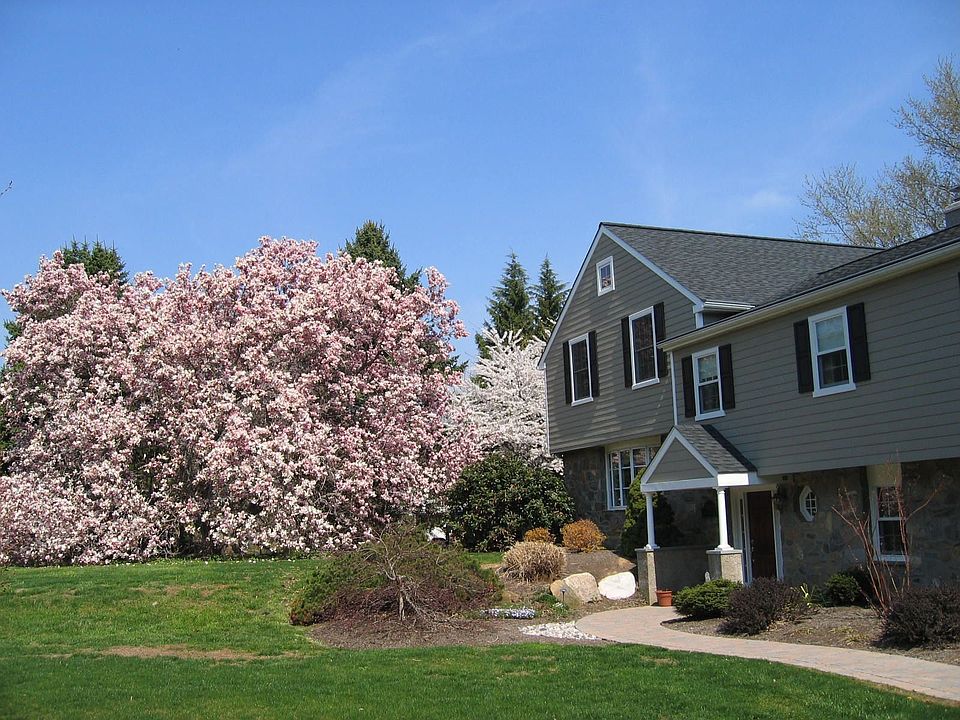 front yard