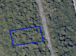 3338 Anhinga Ave SW, Palm Bay, FL 32908