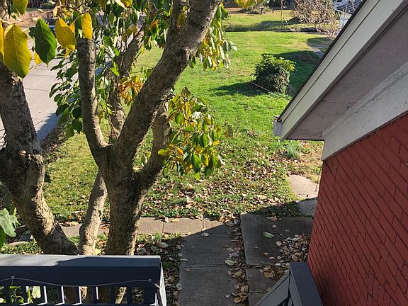 View into backyard from porch.