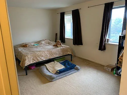 123 Conway Ct — Photo 11