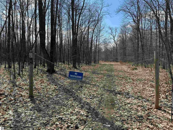 Kuzmik Rd, Boyne Falls, MI 49713