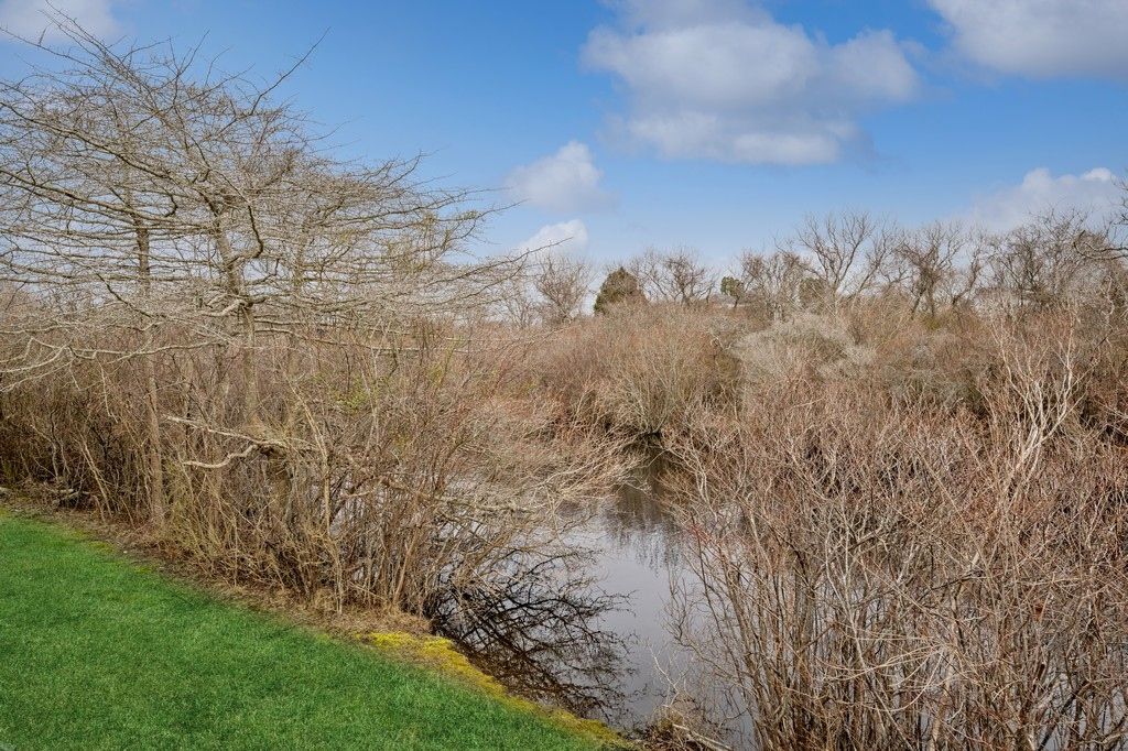  Pond abutting property