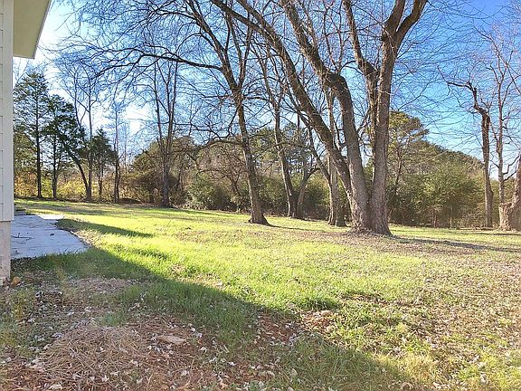 backyard mature shade trees