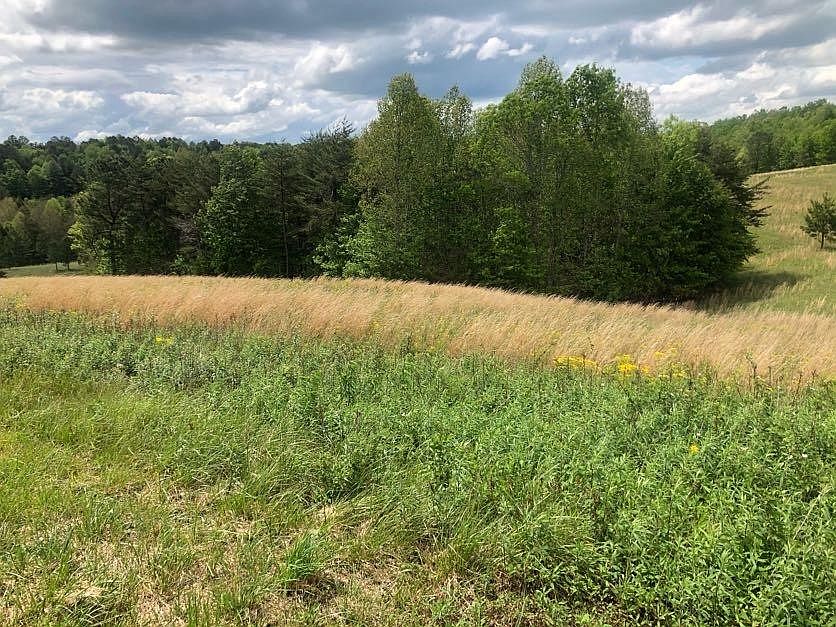 2nd image of 53 Vista View Pkwy Lot 53