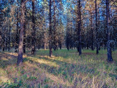 Break Rd, Libby, MT, 59923