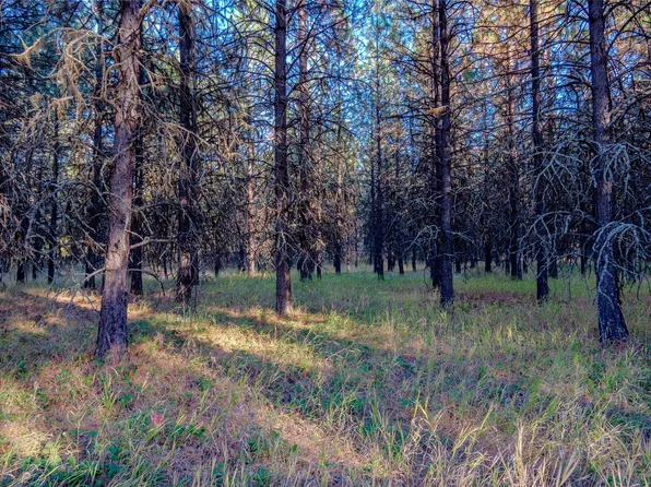 Break Rd, Libby, MT 59923