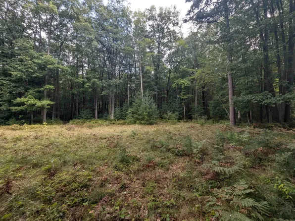 N/a E Michigan Ave, Au Gres, MI 48703