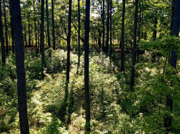 0 Padgett Rd #13, Senoia, GA 30276