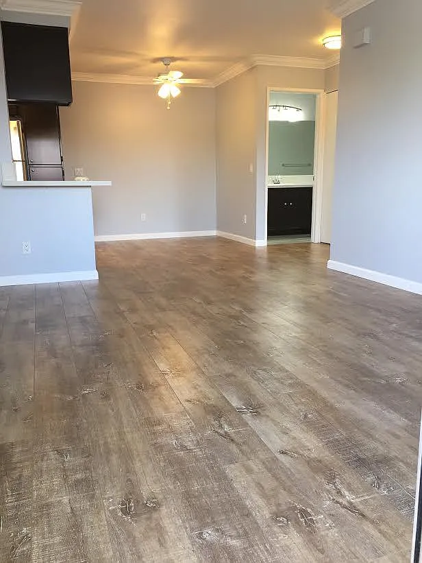 1 bed, 651 sqft, $2,000 — Photo 2