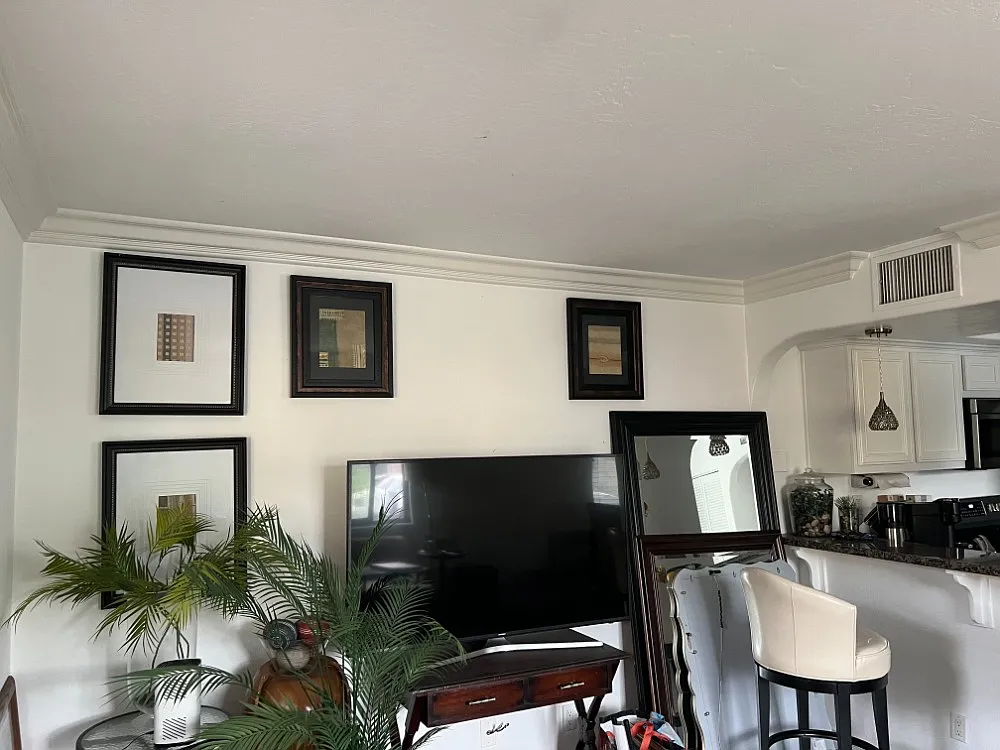 1 bed, 560 sqft, $2,300 — Photo 3