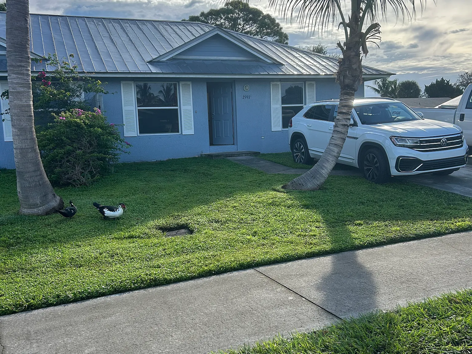 2 bed, 900 sqft, $2,000 — Photo 2