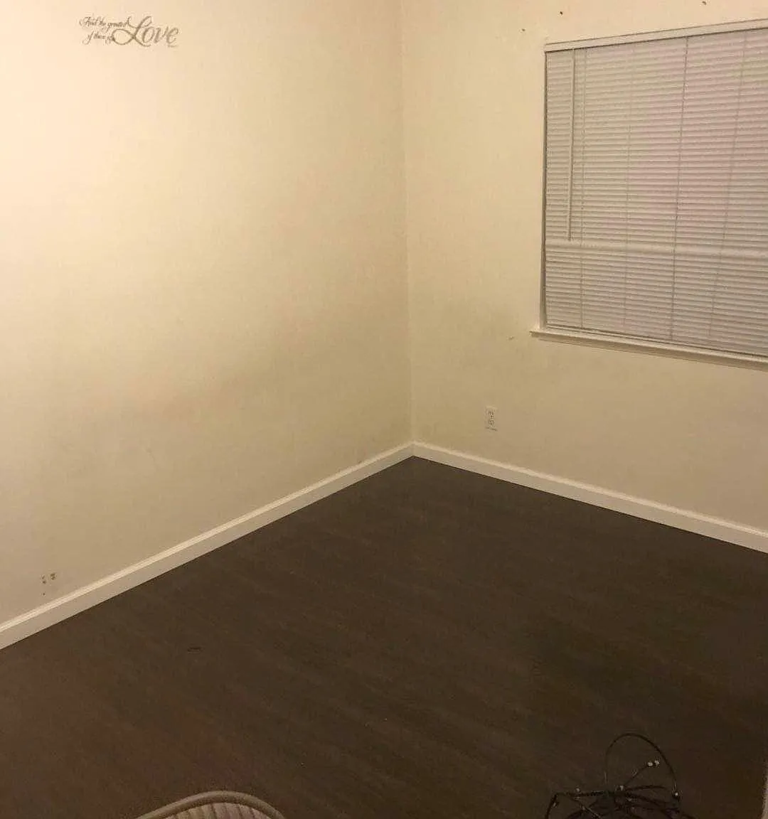 1 bed, 590 sqft, $1,650 — Photo 2