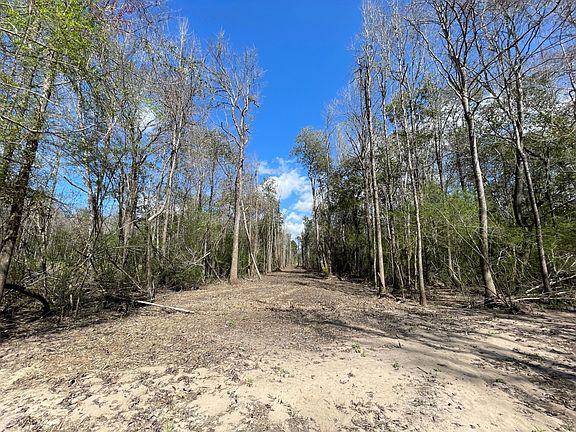 Cleared pipe line beside Black Creek