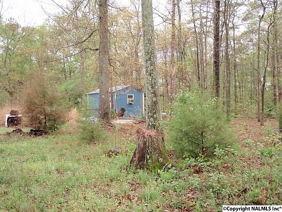 4th image of 1245 Mount Olive Dr