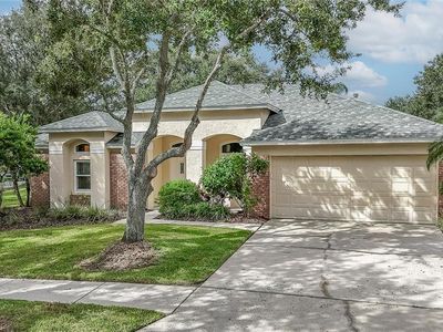 9402 Azalea Ridge Cir, Tampa, FL, 33647