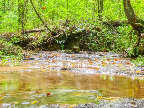 T4 Carver Mill Rd, Talking Rock, GA 30175