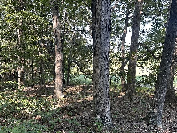 4th image of 0 Perkins Rd