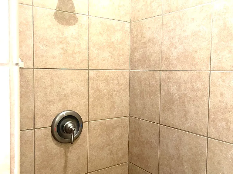 primary bedroom en suite bathroom walk in shower