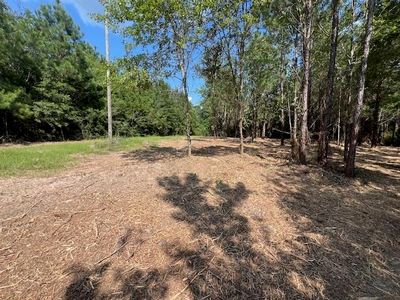 Laird Rd, Florala, AL, 36442