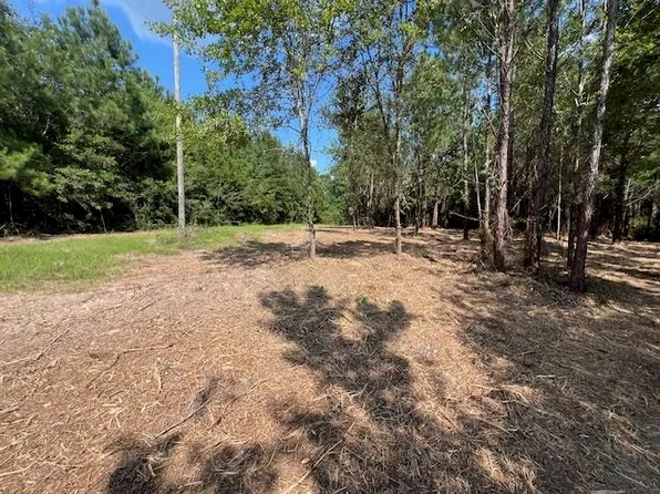 Laird Rd, Florala, AL 36442