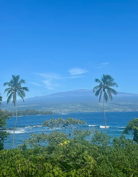 2405 Kalanianaole St #406 — Photo 1