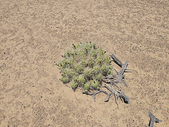 2nd image of 16283 Agua Fria Rd