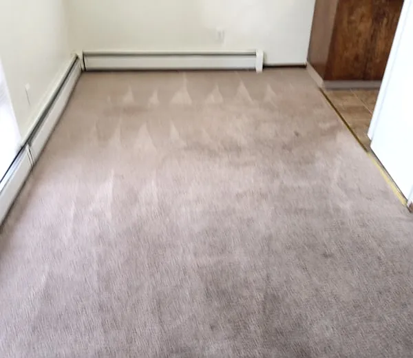 4721 Cordova St #1 — Photo 5
