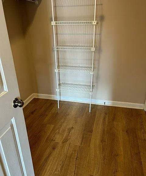Walk-in Master closet