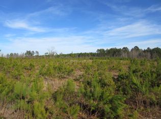 2700 Bear Creek Rd, Tarrytown, GA 30470