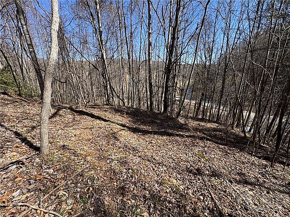 2nd image of 5.33 Acres Charlie King Road