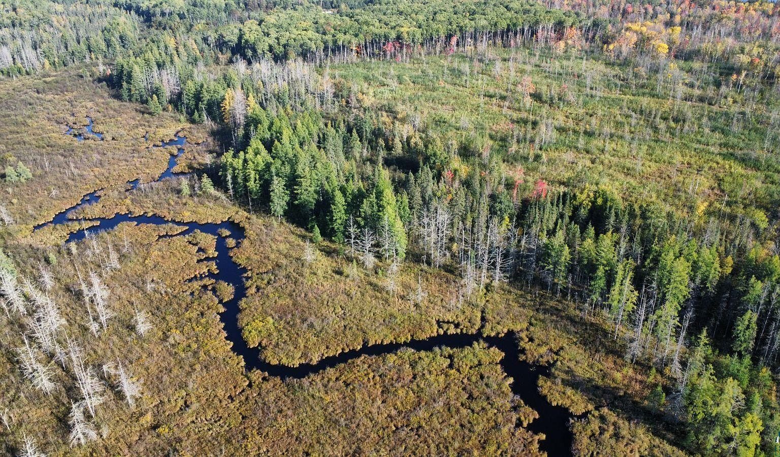 Township Road 5743, Alborn, MN 55702 MLS 6110791 Zillow