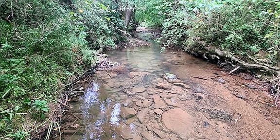 4th image of 0 Blue Springs Rd