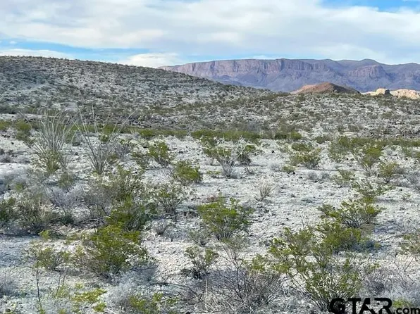 19795 & 19800 Reimers Rd, Terlingua, TX 79852
