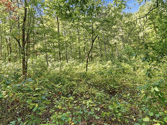 2nd image of 845 Ridgewood Dr Lot 17