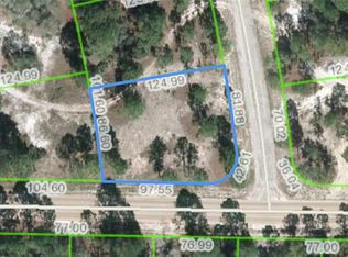 486 Dreamland Dr, Lake Placid, FL 33852