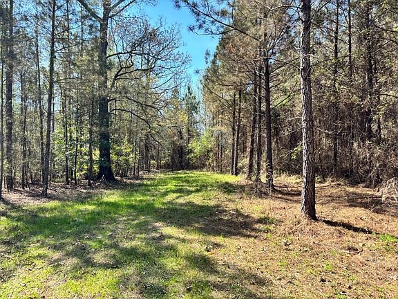 2nd image of 0 County Road 415