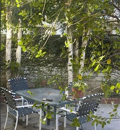 The rearyard is wonderful for entertaining. This low maintenance yard has a hu