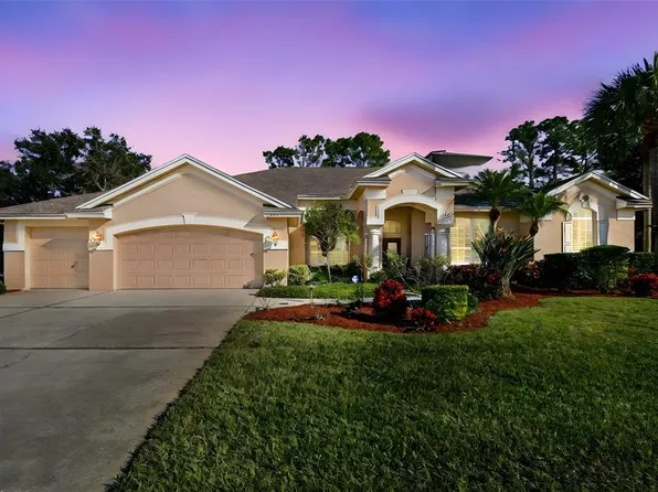 3988 Mimosa Pl, Palm Harbor, FL 34685