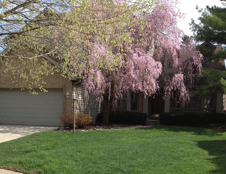 1st image of 7420 Gardengate Pl