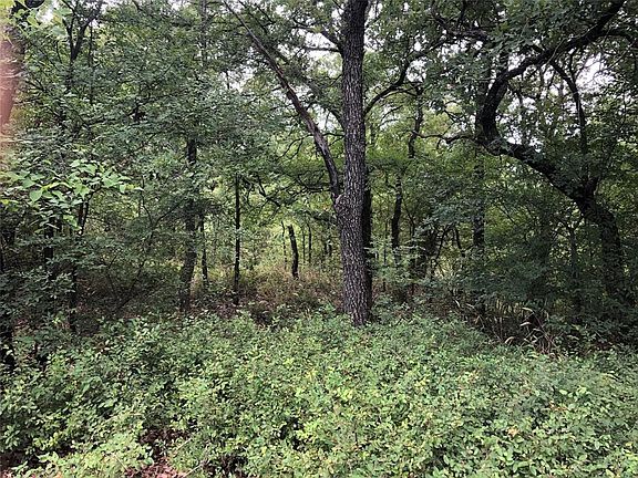 2nd image of 189 County Road 3481