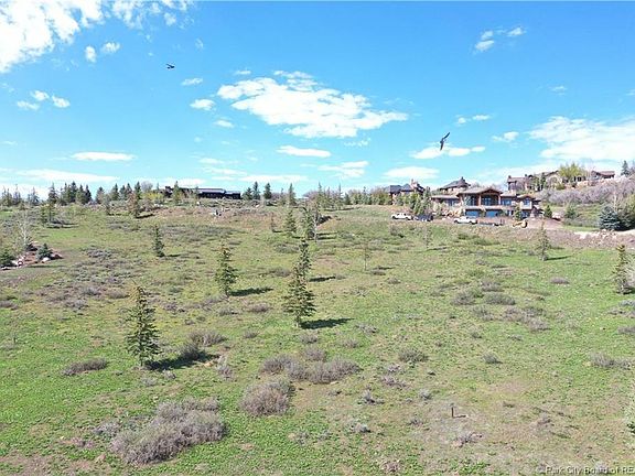 4th image of 7174 Lupine Dr