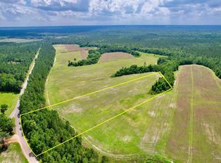 LOT 49 Mineral Springs Rd, Jay, FL 32565