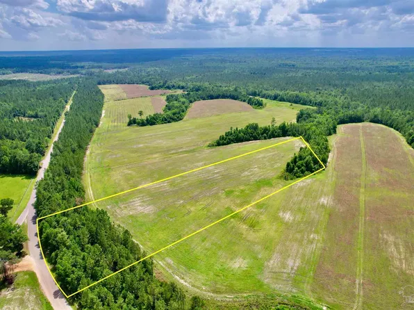 LOT 49 Mineral Springs Rd, Jay, FL 32565