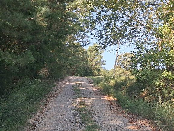 5th image of 11722 Finnell Cut Off Rd