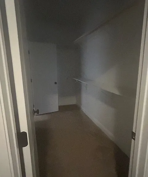 901 Hackberry Dr — Photo 13