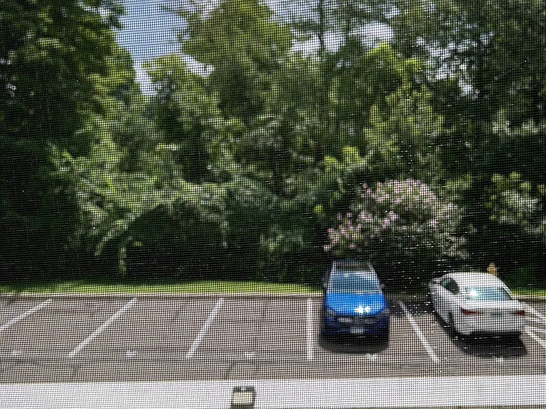 66 Stetson Pl #66 — Photo 24