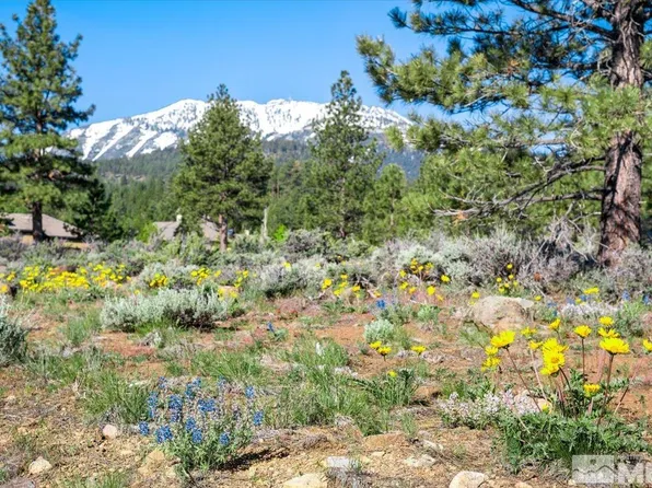 665 Sand Cherry Ct, Reno, NV 89511