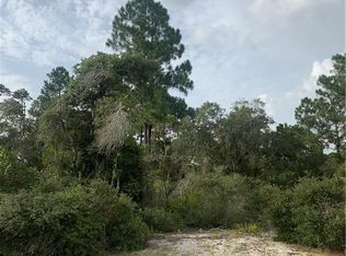 396 Sunshine Ave, Lake Placid, FL 33852