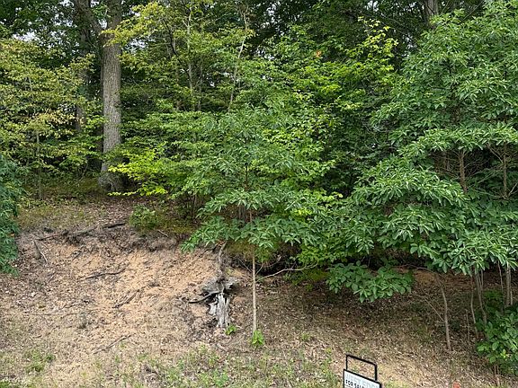 4th image of Wildwood Dr